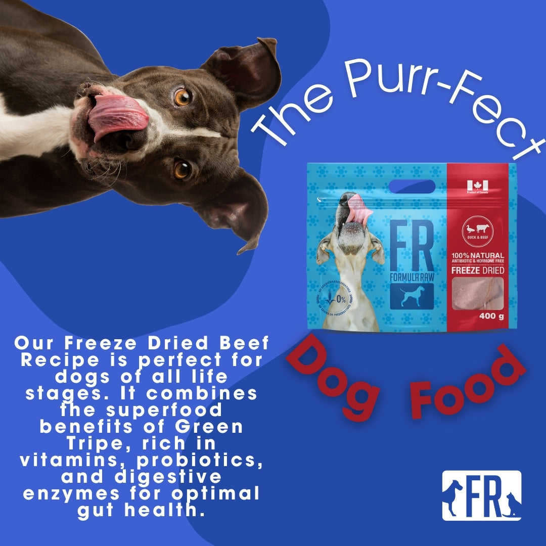 Freeze Dried Duck & Beef for Dogs