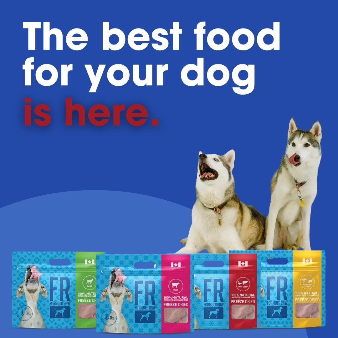 Freeze Dried Duck & Beef for Dogs